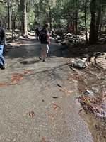 IMG 0782