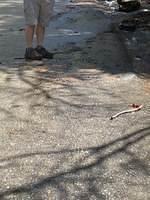 IMG 0783