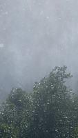 IMG 0793
