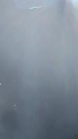 IMG 0795