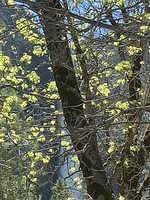 IMG 0802