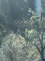 IMG 0807