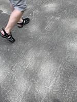 IMG 0833