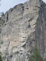 IMG 0837