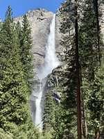 IMG 0856