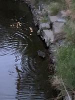 IMG 0898