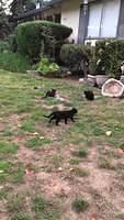 IMG 3990