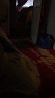 IMG 4654