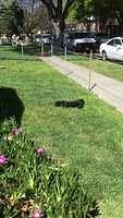 IMG 4685