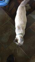 IMG 4737