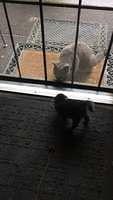 IMG 5030