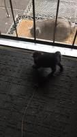 IMG 5031
