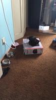 IMG 5096