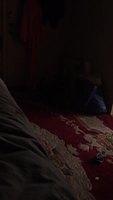 IMG 5257