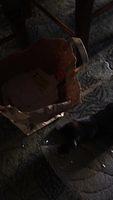 IMG 5263