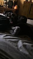 IMG 5334