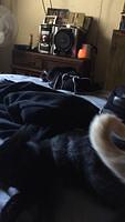 IMG 5335