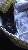 IMG 5519
