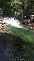IMG 6454