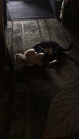 IMG 6715