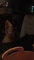 IMG 6743