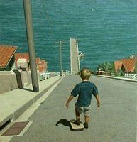IMG 0233