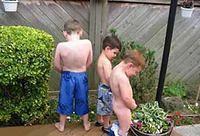 IMG 0235