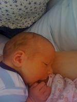 IMG 0311