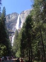 IMG 0522