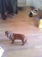 IMG 0877