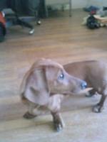 IMG 0878