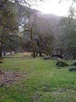 IMG 0895