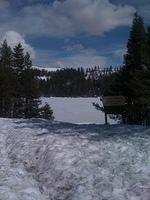 IMG 0928