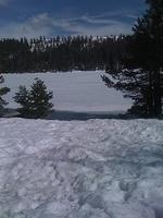 IMG 0931