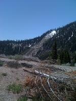 IMG 0954