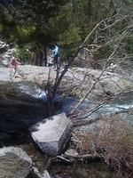 IMG 0966