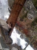 IMG 0968
