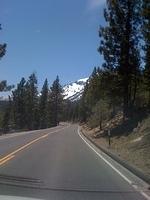IMG 0979