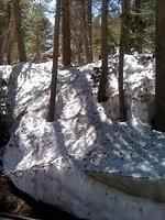 IMG 0984