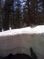 IMG 0987