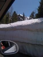 IMG 0995