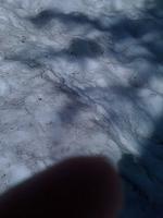 IMG 1036
