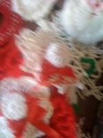 IMG 1548