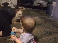 IMG 1569