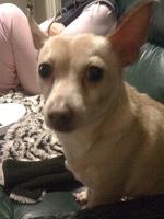 IMG 1575