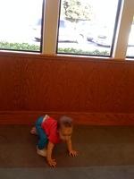IMG 1761