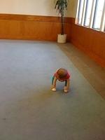 IMG 1772