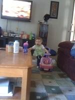 IMG 1873