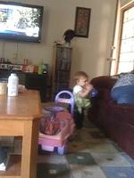 IMG 1876
