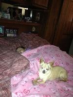 1-IMG 0152